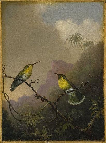 Martin Johnson Heade Two Humming Birds oil painting picture